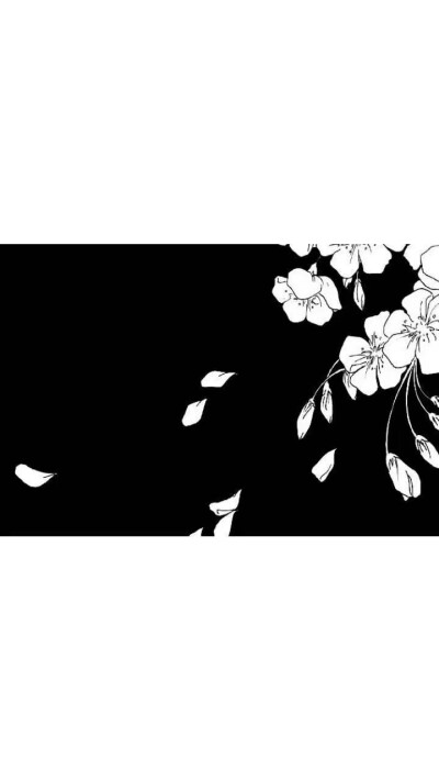 白底背景壁纸
