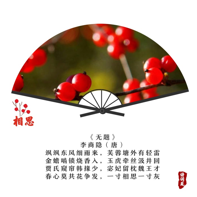 红豆 相思 - 堆糖,美图壁纸兴趣社区