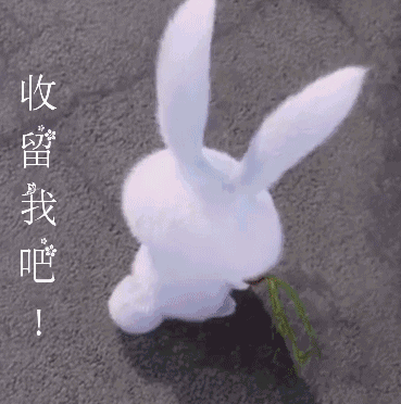 兔子小白表情包