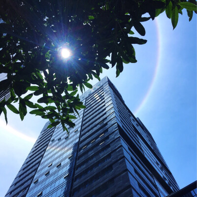 漂亮的太阳光圈