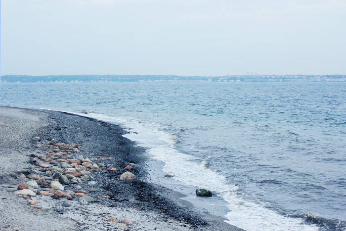 许下一生的承诺陪你去看海