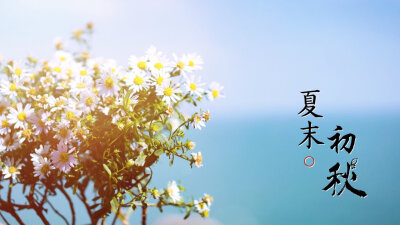 夏末初秋 花依然开好