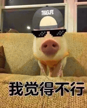 我觉得不行表情包 [我觉得可以 我觉得完全o几把k]