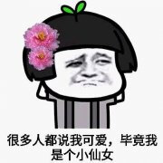 小仙女表情包