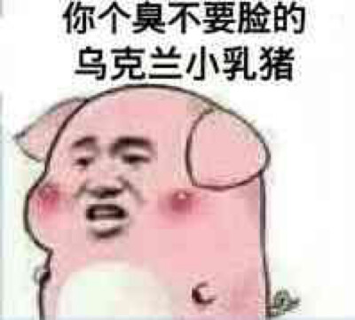 你个臭不要脸的乌克兰小乳猪