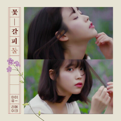 iu 花书签