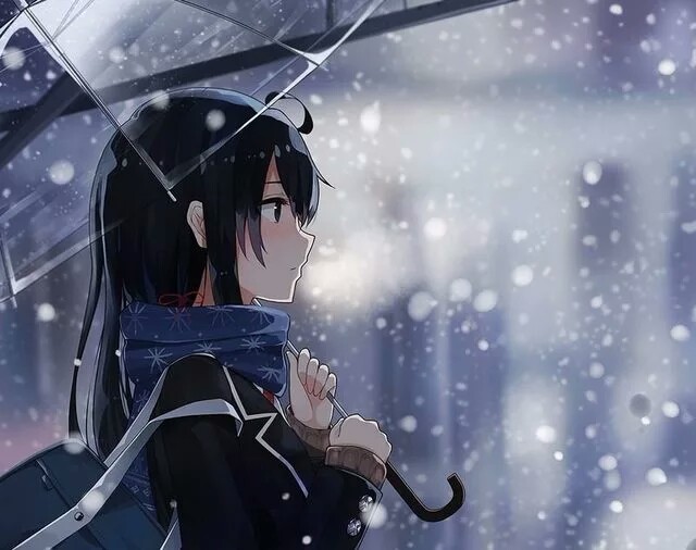 动漫 女生 图片 壁纸 头像 雪之下雪乃