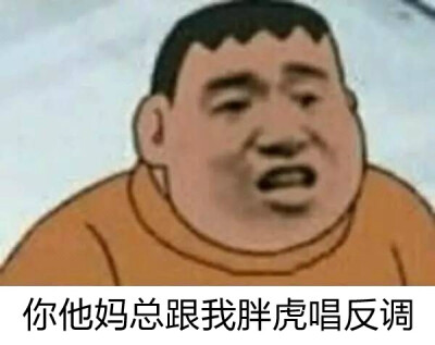 胖虎表情包