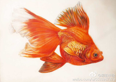 积极向上的彩铅照片