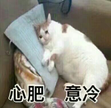 猫咪探头表情包