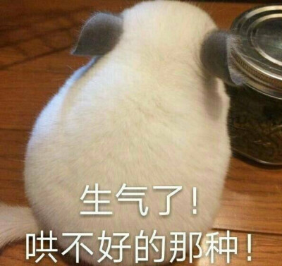 生气了 哄不好的那种 表情包