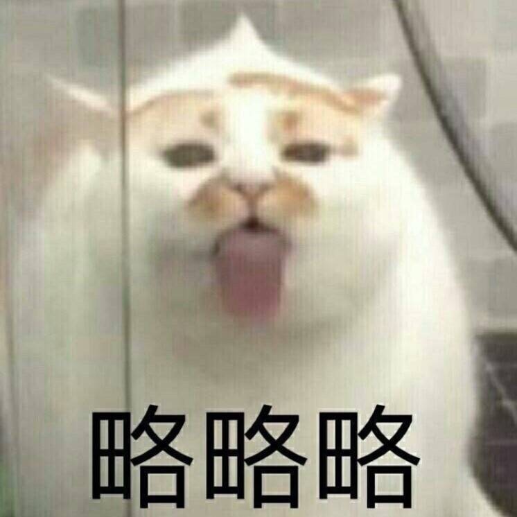 楼楼猫表情略略略