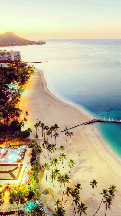 沙滩,摇曳的椰子树以及林立的高楼大厦,是游人心目中最典型的夏威夷