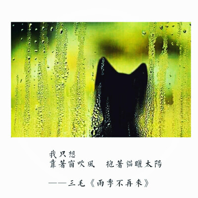 三毛 雨季不再来