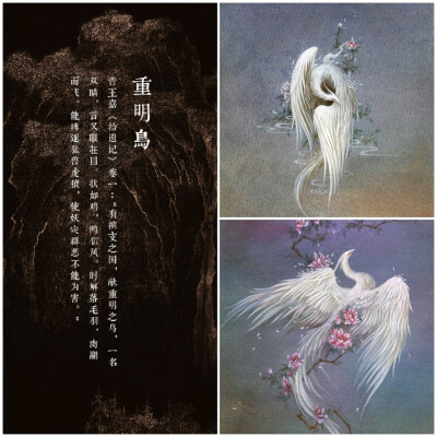 山海异兽,重明鸟niao