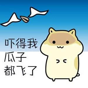 仓鼠头像