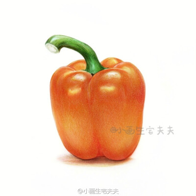 学画一颗橙色大菜椒[哆啦a梦微笑]多画蔬多健康[二哈] 辉柏嘉