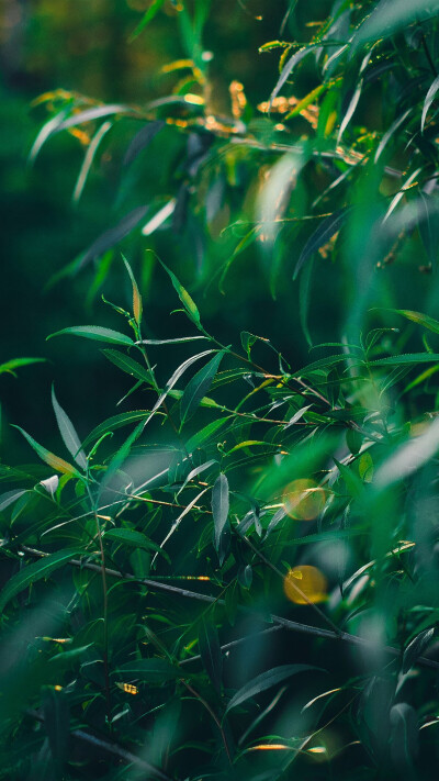 自然风景 - 堆糖,美图壁纸兴趣社区