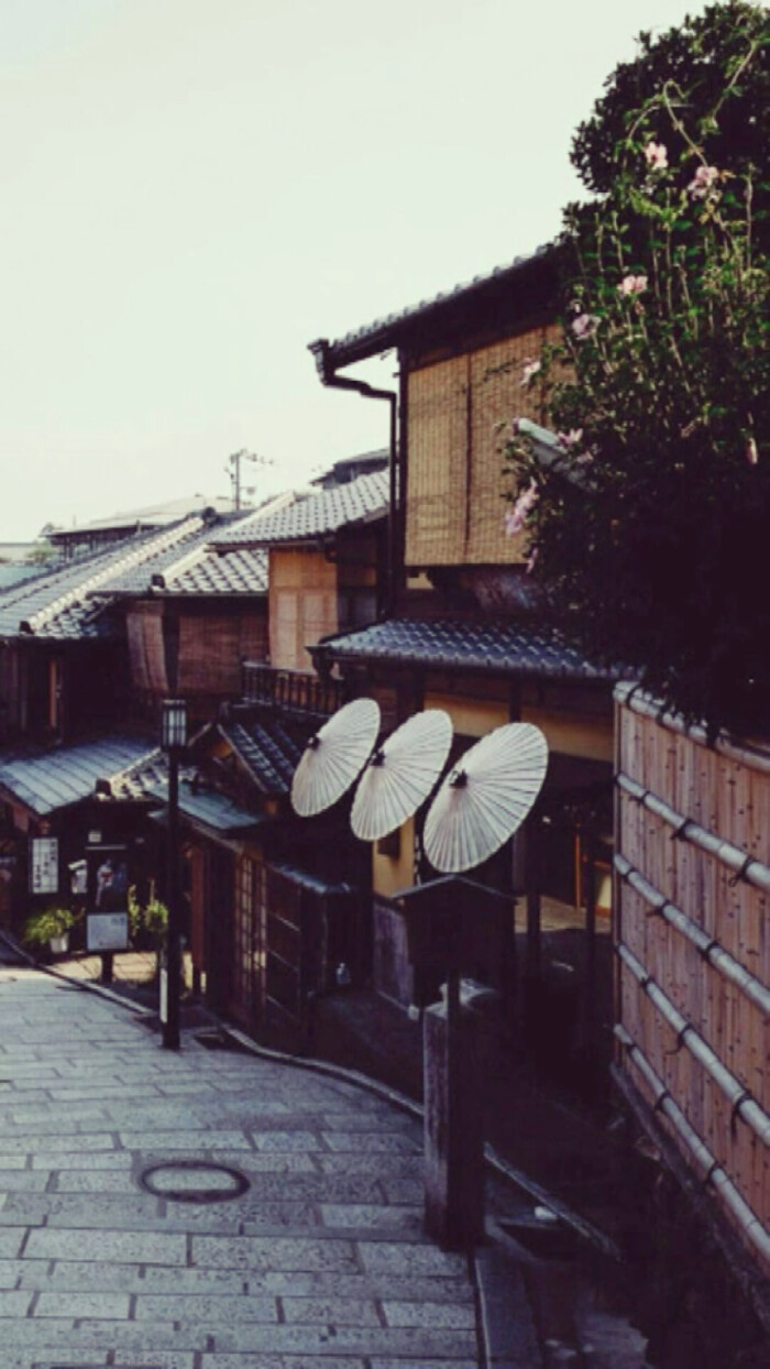 日本京都 堆糖 美图壁纸兴趣社区