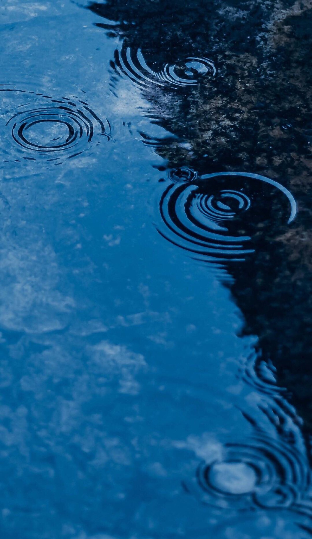 雨天壁纸 堆糖 美图壁纸兴趣社区