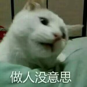 猫狗老鼠表情包可爱蠢萌套路小表情大表情