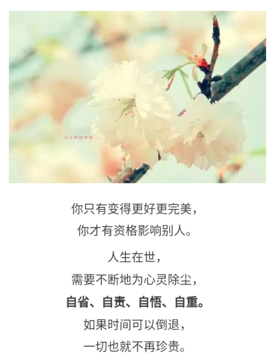 心灵鸡汤