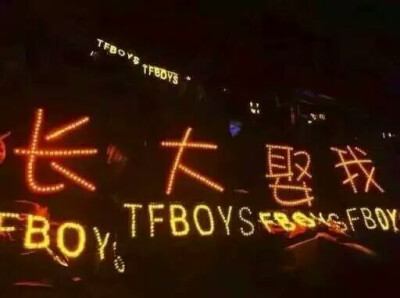 澄海tfboys粉丝应援 四叶草