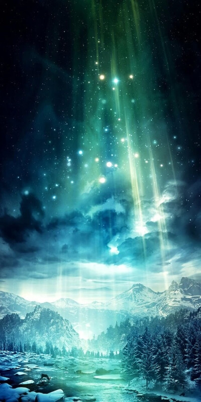 星空 雪山 针叶林