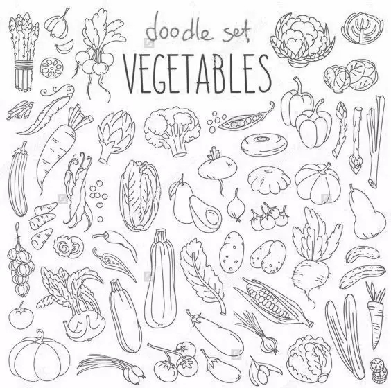 蔬菜简笔画