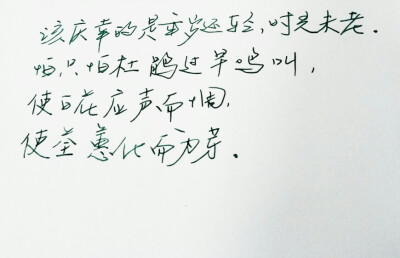 闺密 伤感 青春 治愈系 温暖 情话 情绪 明信片 暖心语录 正能量 唯美