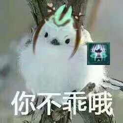 小鸽几x你不乖哦!