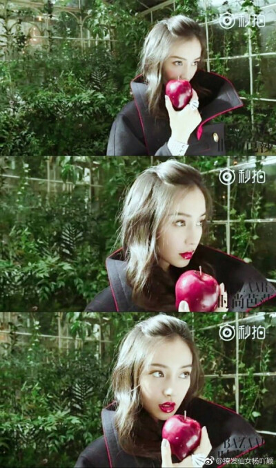 杨颖可爱动漫壁纸