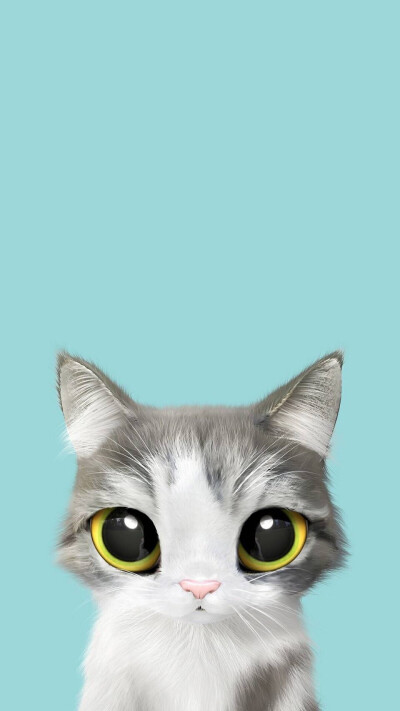 可爱大眼猫咪 壁纸