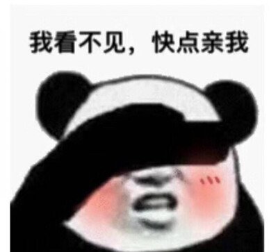 表情包 我看不见 快点亲我