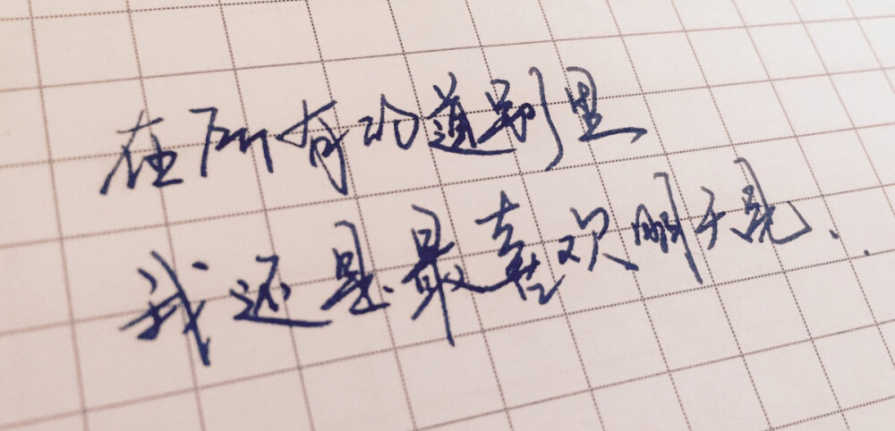 明天见 