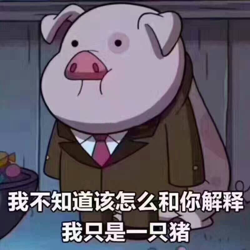 我不知道该怎么和你解释我是一只猪