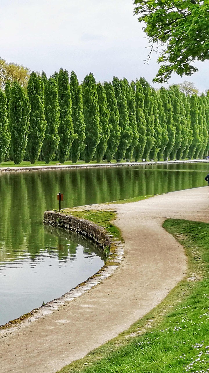 华为锁屏 风景 绿意 湖边树林 清风