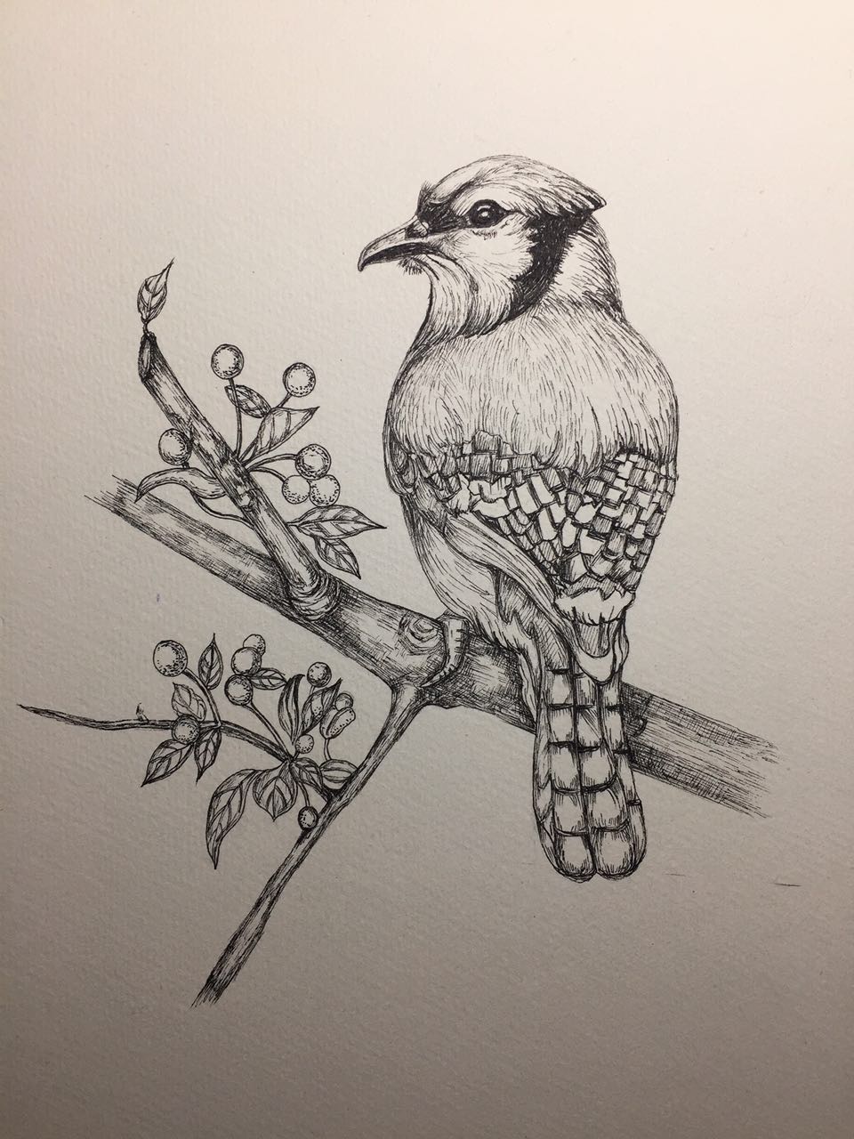 素描稿