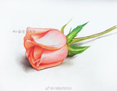 彩铅