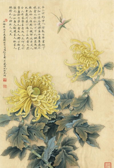 收集   点赞  评论  李晓明工笔画 0 17 山花与烂漫  发布到  菊花