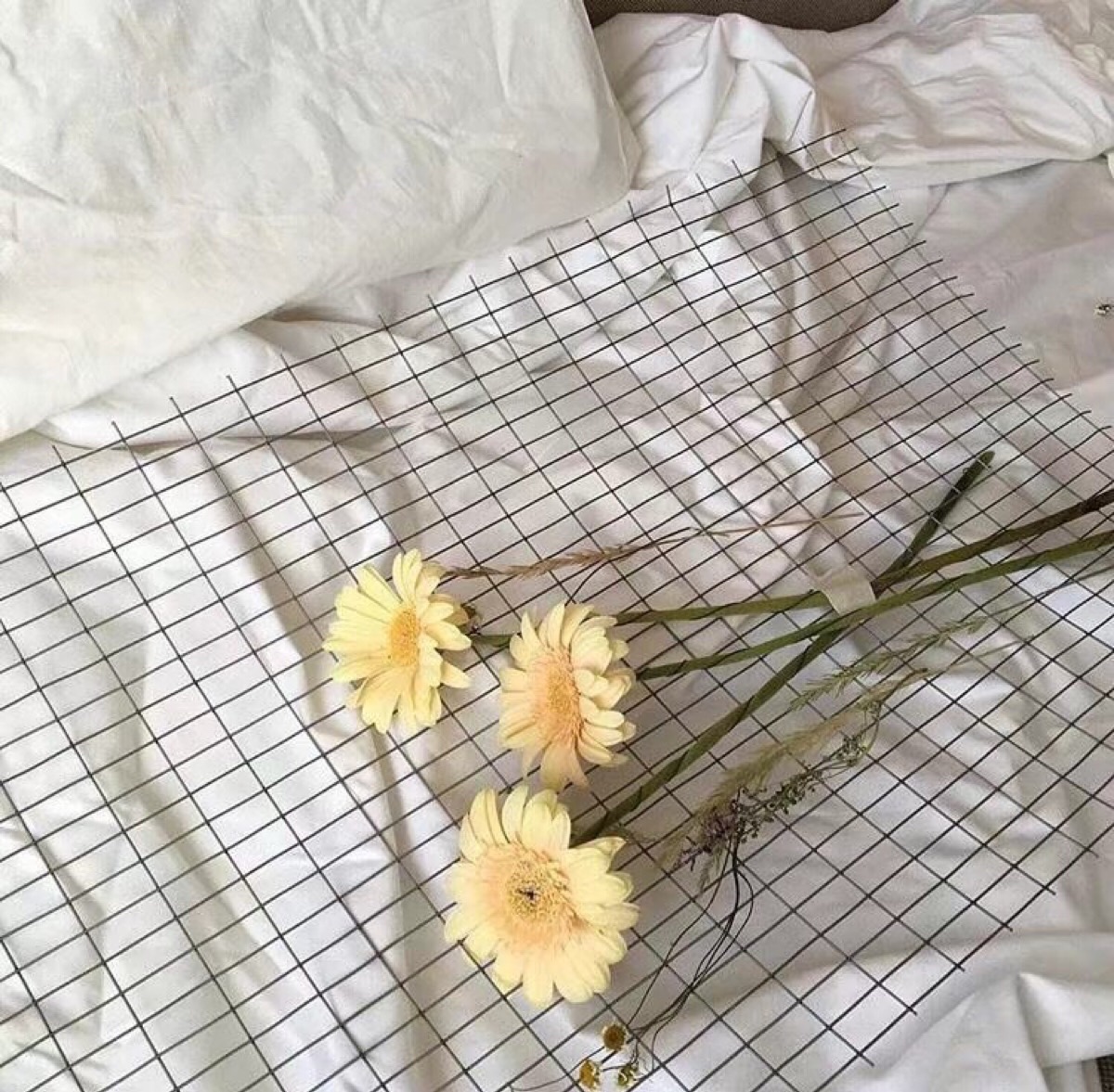 ins风 背景图 壁纸 如蕤大人