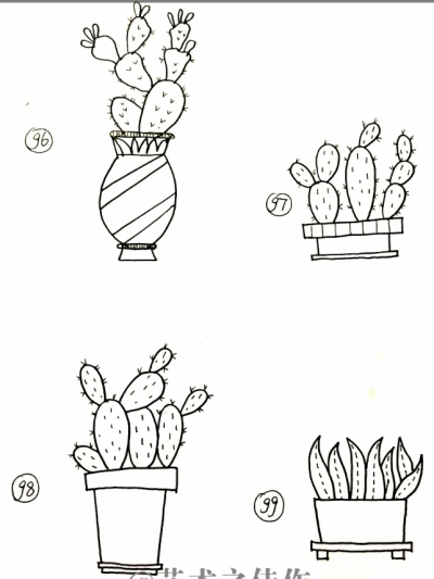 【植物线稿】