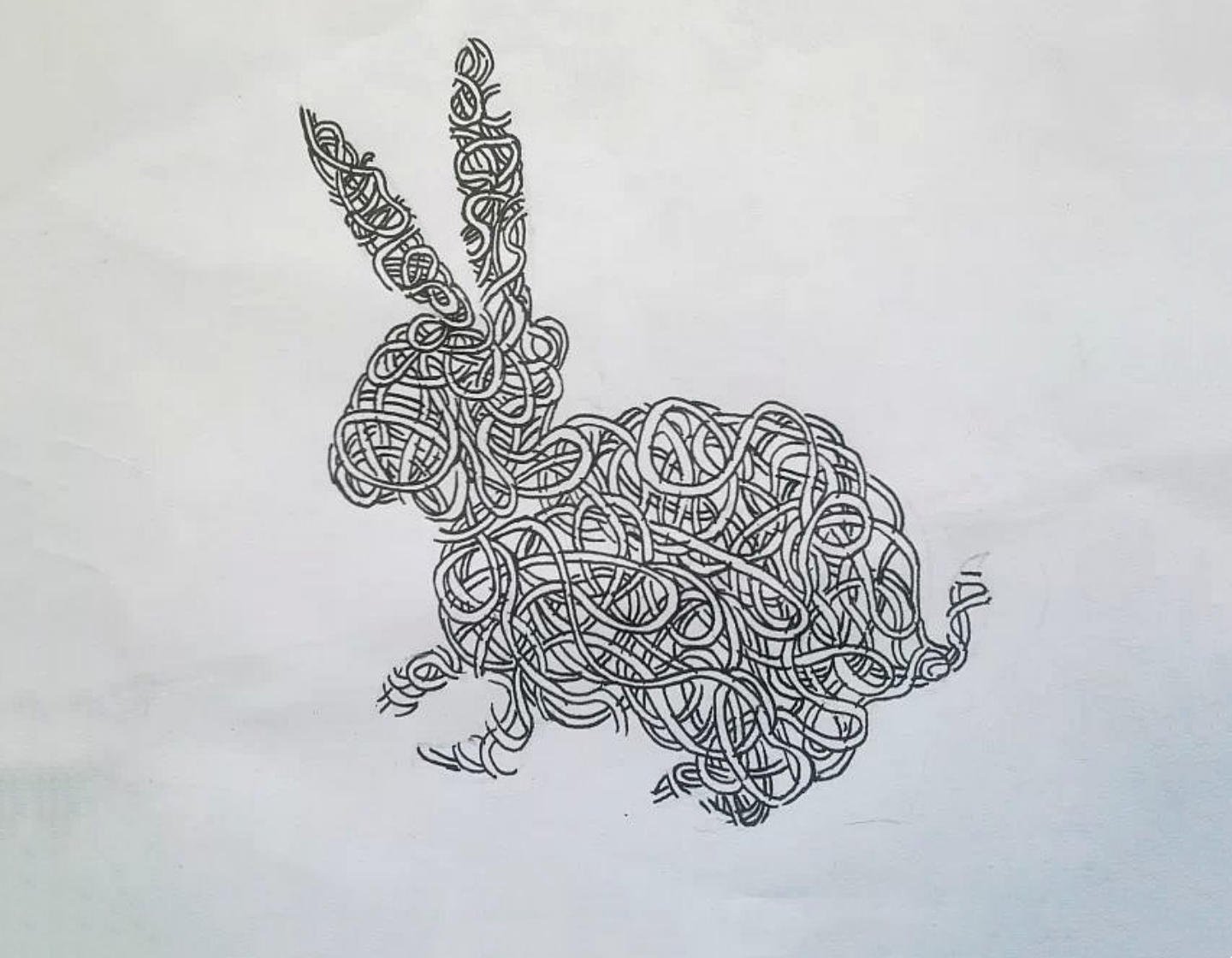 十二生肖一笔画——兔