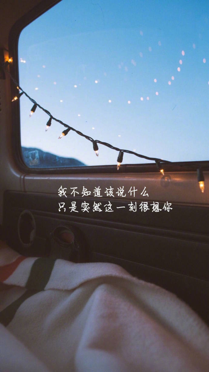 情话- 堆糖,美图壁纸兴趣社区