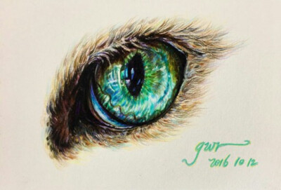 用彩铅画的梦幻又唯美的动物眼睛瞳孔插画