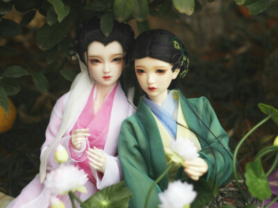 白素贞×小青〕sd娃娃 bjd 玩具 人偶 壁纸 萌物 古风精致美人