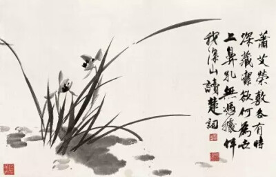 黄胄笔下的兰花,如其擅长的人物画与动物画一样,线条流畅有力,墨色