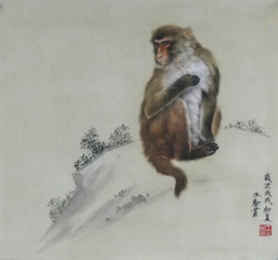 十二生肖集锦*国画白描版——申猴