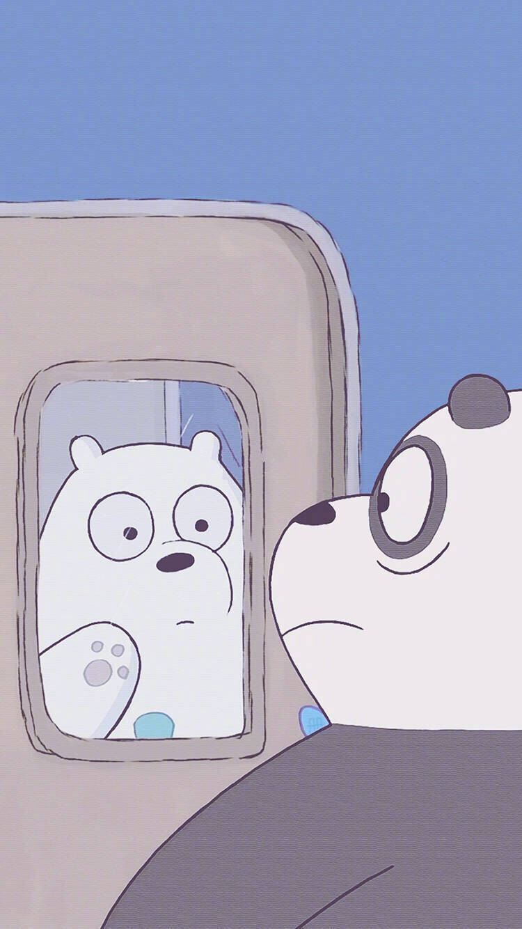 ice bear