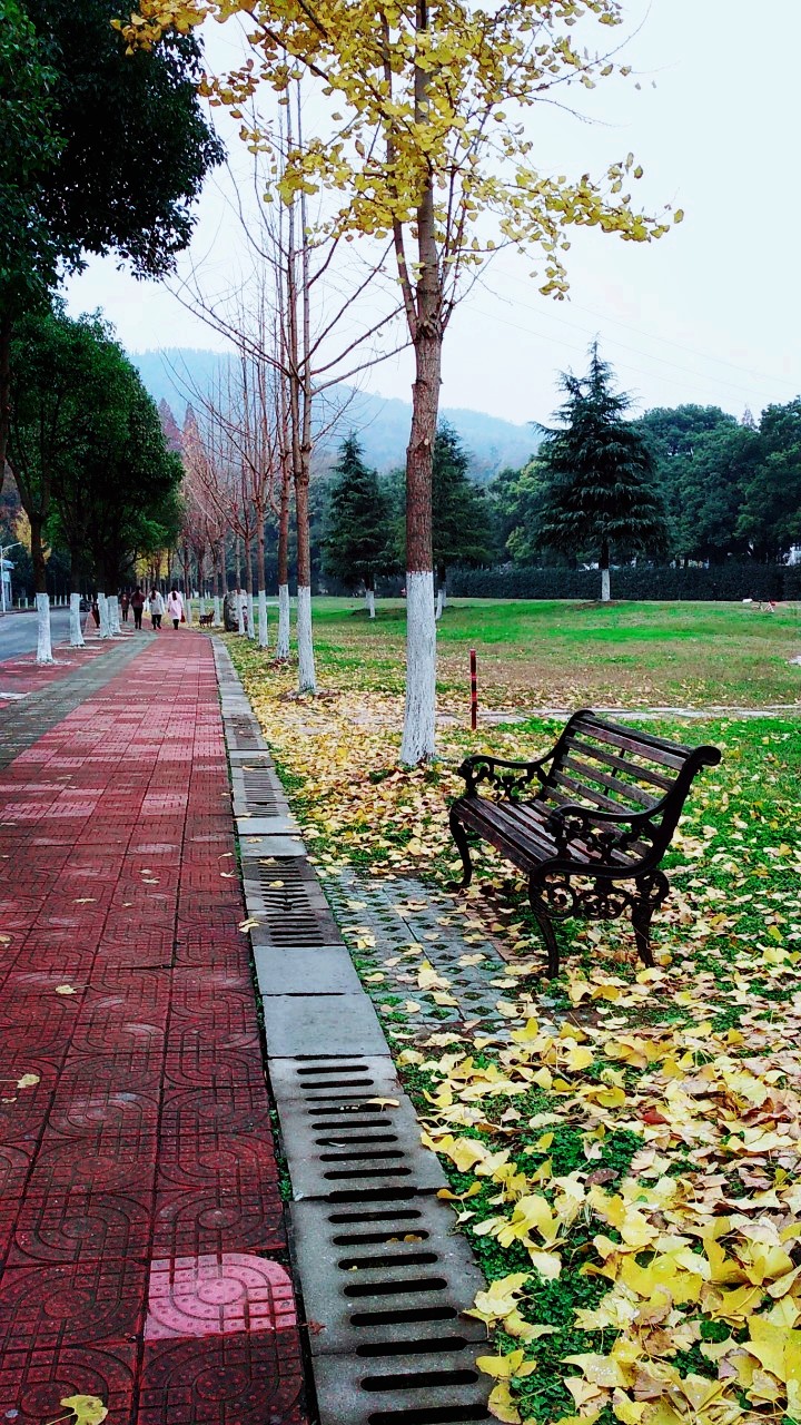 湖北襄阳湖北文理学院